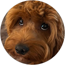 Mary-Ann Liguori profile picture